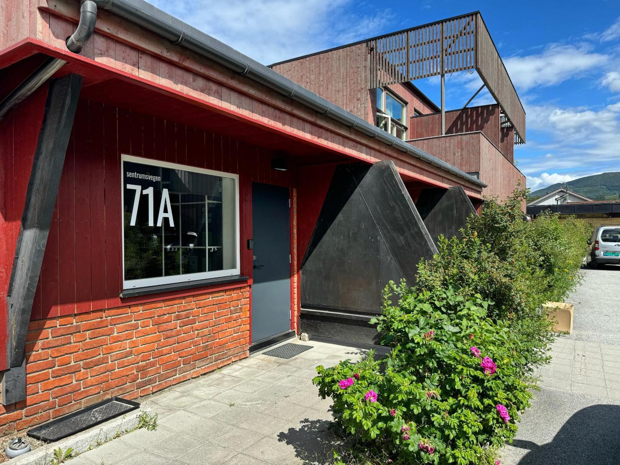Sentrumsvegen - Private Studio Apartment In Gol Esterno foto